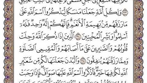 سورة الحج الشيخ ياسر الدوسري صفحة ٣٣٦