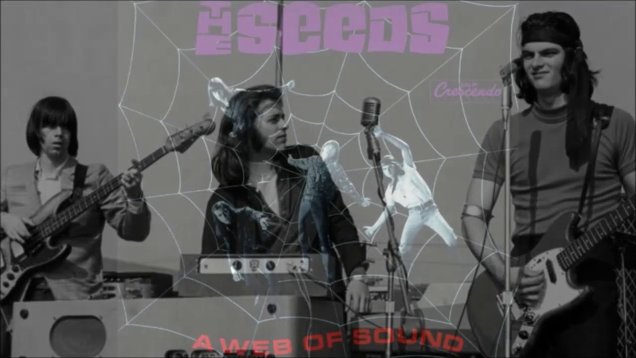 The Seeds -  Pushin' Too Hard -  Lyrics