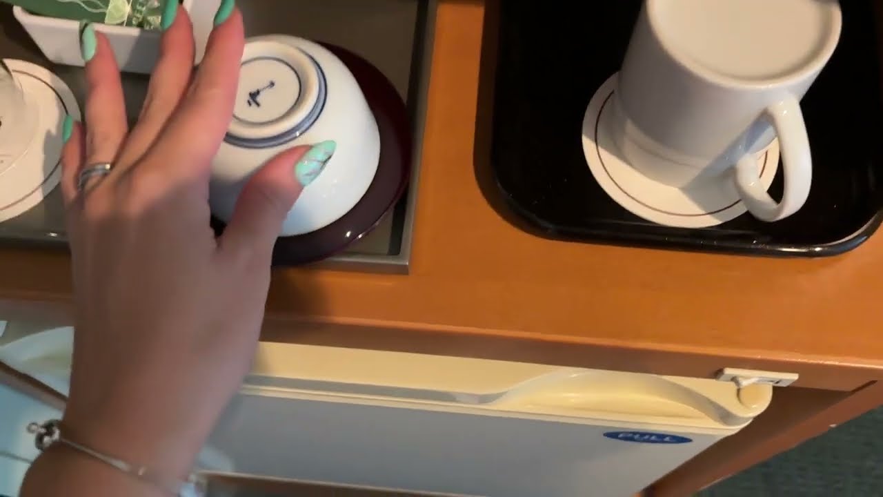 ASMR lofi 🌸 I miei hotel in Giappone – Parte 1 🌸 Tokyo, Shinagawa Prince Hotel