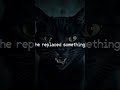 Part 5 #viral #fyp #shortvideos #shorts #brainrot #cat