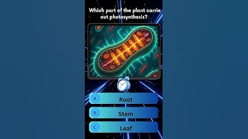 Top 10 Biology MCQs with Answers | Basic Biology Quiz | Test Your Knowledge