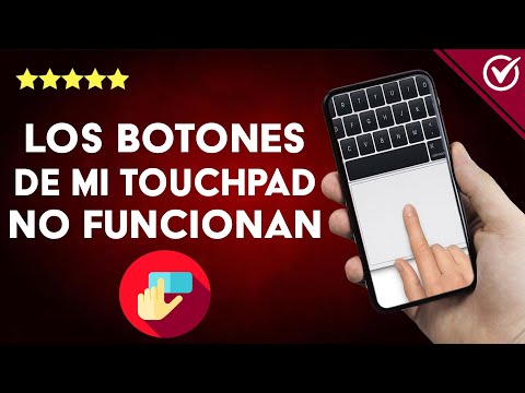 ¿Por qué los botones de mi TOUCHPAD ya no funcionan y cómo arreglarlos?