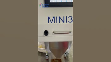 Small pine nuts color sorting