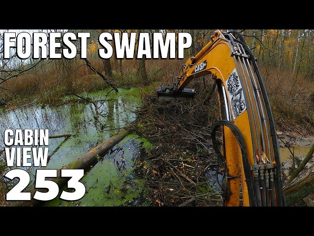 Deep FOREST SWAMP! Clearing a Beaver Dam & Huge Log | Cabin View
