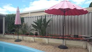MM V2 demo 3 - Model Monorail 20m track with 3 cars running in a garden bed