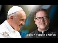 Bishop Barron on Pope Francis' "Amoris Laetitia"
