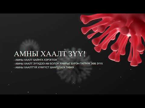 Видео: Вакцинтай холбоотой сөрөг үзэгдэл, вакцин өвчнөөс урьдчилан сэргийлэх нь гэрийн тэжээвэр амьтад, Хэсэг 1