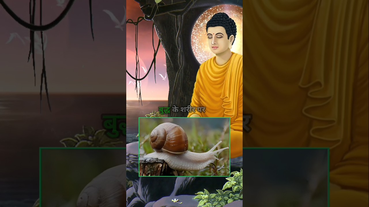 गौतम बुद्ध के बालो का रहस्य | Why are there snails on Buddha's head? | 