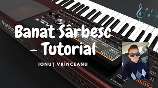 Tutorial - Banat sârbesc