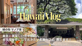 【ハワイ Vlog】ホノルル🌺 マノアの最高に美味しいポキボウルと秘密にしておきたい素敵カフェをご紹介✨　#ハワイ #ハワイ旅行 #子連れ旅行 #マノア #ポキ #カフェ