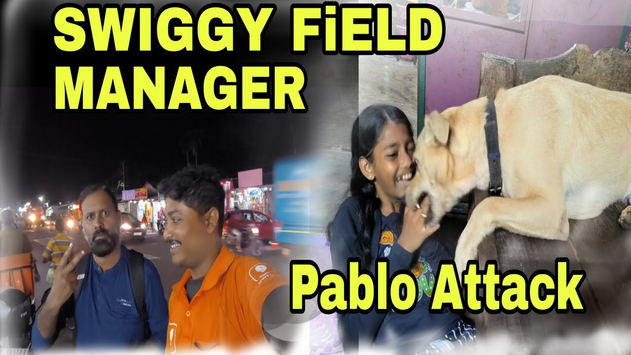 🤨Swiggy Field Manager 🐕 Pablo Attack In Into