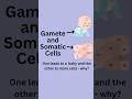 Mutations can only be passed on through specific cells!
