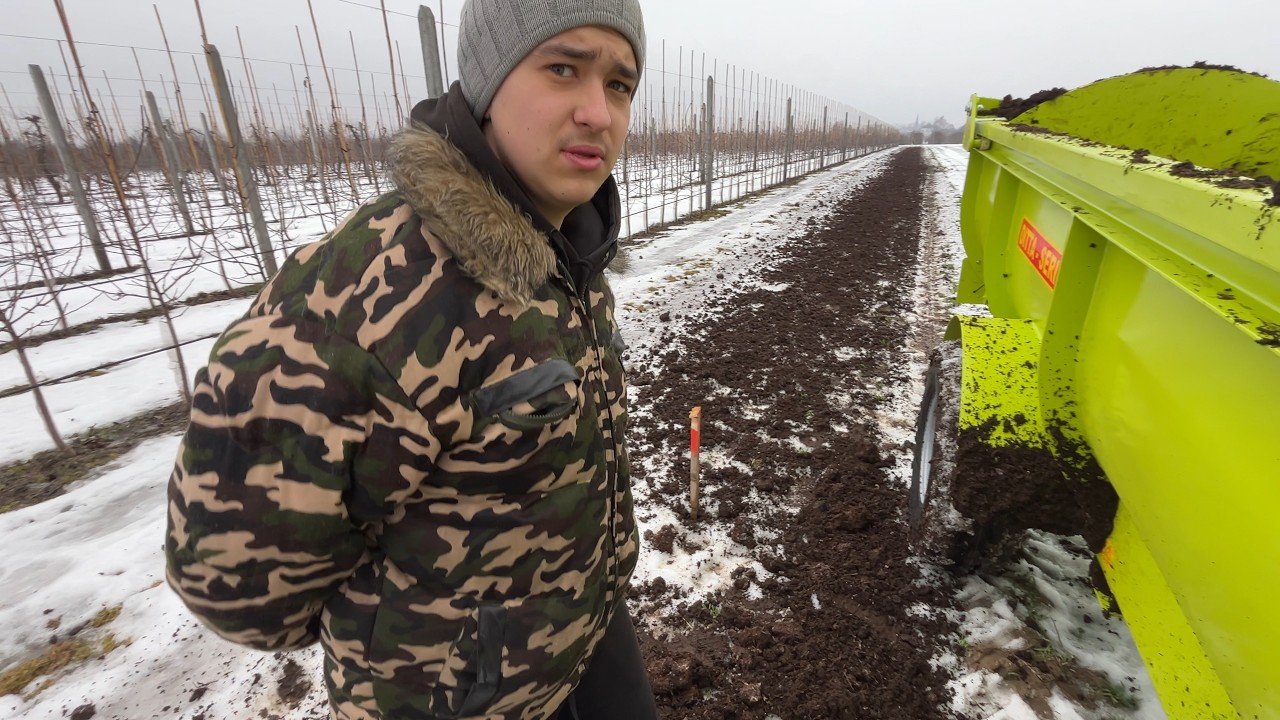 Podłoże pieczarkowe nowym sprzętem! Rozrzutnik sadowniczy Ditta Seria w akcji 