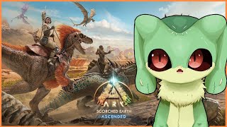『ASAスコチ』砂漠で遊牧プレイ『ケモトカゲ』