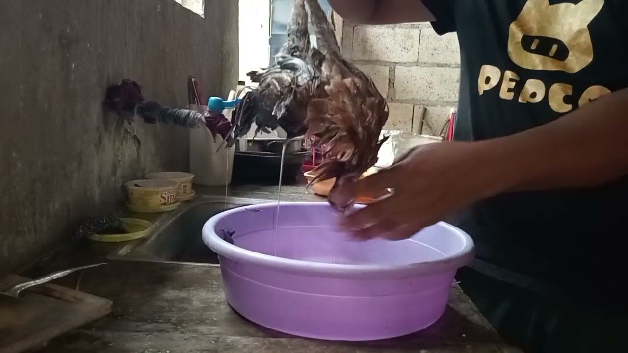 Ganap sa February 18