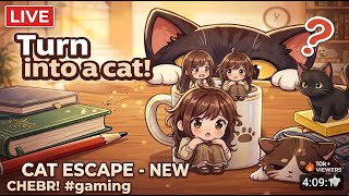 HIDE AND SEEK CAT ESCAPE # 17     #hideandseekcatescape #games screenshot 2