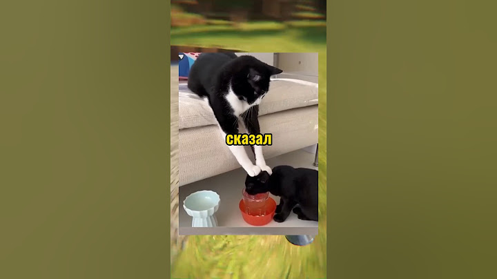 ВИРУСНЫЕ ВИДЕО / Жажда воды