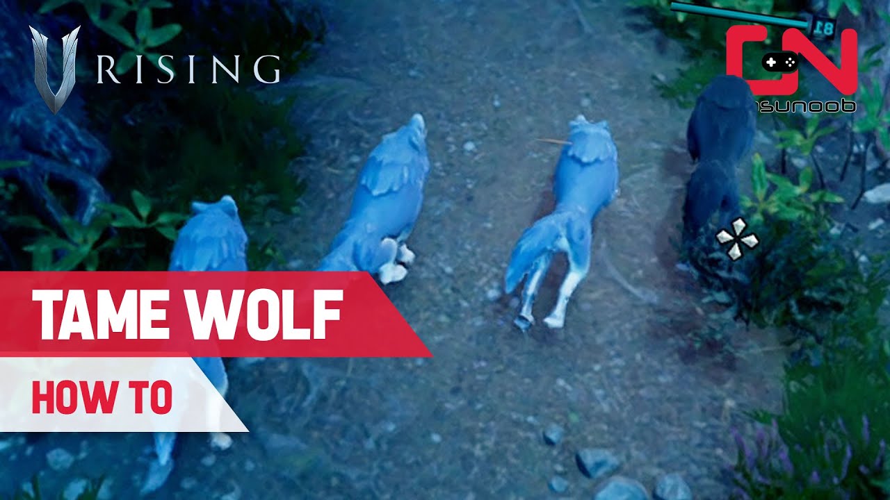 V Rising How to TAME WOLVES - YouTube