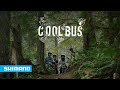 The cool bus  shimano