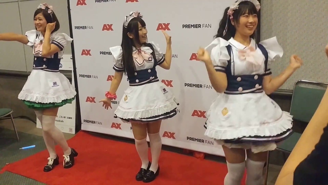 Anime Expo 2015 Premier Fan