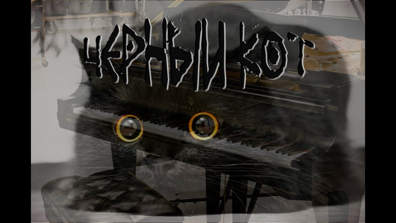 Черный кот караоке