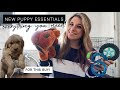 NEW PUPPY HAUL 2021 | Essential things you will need for a new puppy + Snuggle Puppy!