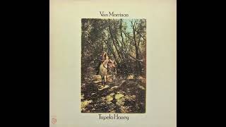 Van Morrison – Moonshine Whiskey