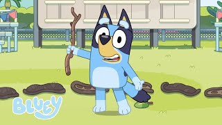 Feiern wie Bluey | Bluey - Deutsch Offizieller Kanal