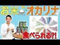 【演奏あり】お米でできた環境に優しいオカリナを紹介します