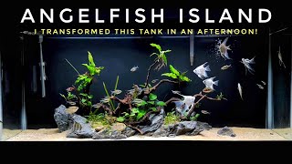 I TRANSFORMED THIS AQUARIUM IN 5 HOURS! | Angelfish Island