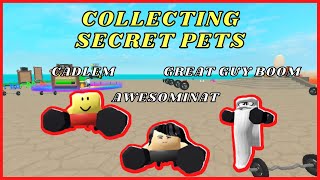 Collecting Every Secret Pets in Training Simulator screenshot 4