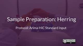 Celebrity BGE SciLifeLab HiC Course 1 - Introductory Sample Preparation Profile