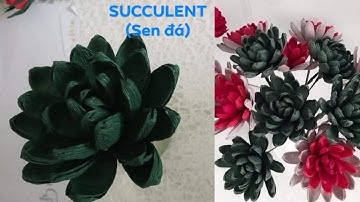 How to Make a succulent with crepe paper (hướng dẫnlàm hoa sen đá giấy nhún)