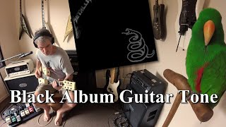 Recreating The Black Album Guitar Tone - Mesa Mkv-25   SM57   Stomps