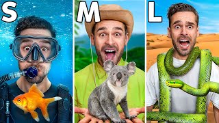 Download Lagu 24 Dieren Aaien Van Klein Naar Groot! *Challenge* MP3 Download Lagu 24 Dieren Aaien Van Klein Naar Groot! *Challenge* MP3