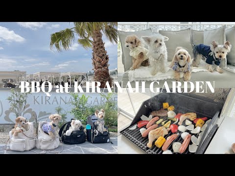 【BBQ at KIRANAH】わんこのおともだちとバーベキュー行ったらかわいくてたのしくて最高だったよ🐶🌤️🍖