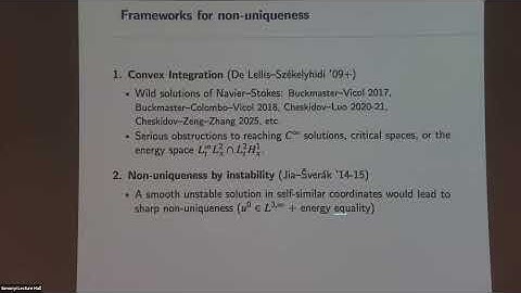 Navier-Stokes Equations at Critical Regularity - Stan Palasek