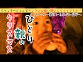 [シングルファザー]クリスマス一緒にいられない息子へ、、イルミネーションでサンタに電話[ほのぼの]