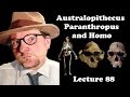 Lecture 88 Australopithecus, Paranthropus and Homo