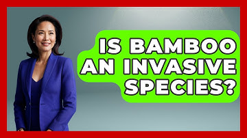 Is Bamboo An Invasive Species? - Biology For Everyone
