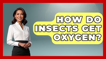 How Do Insects Get Oxygen? - The World of Agriculture