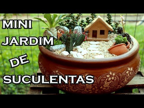 Vídeo: Como Fazer Um Mini-jardim