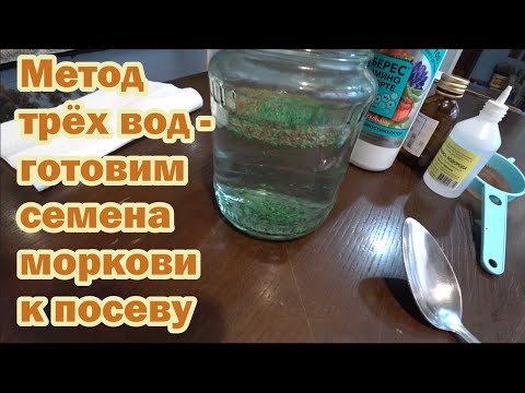 Метод трёх вод - подготовка семян моркови к 100 всхожести