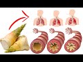 Amazing Benefits of Bamboo Shoots