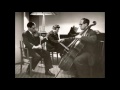 Miniature de la vidéo de la chanson Trio For Piano, Violin And Cello In D Major, Hob. Xv:16: I. Allegro