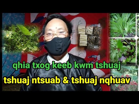 Video: Brewing Tshuaj Yej - Kev Lig Kev Cai Thiab Keeb Kwm