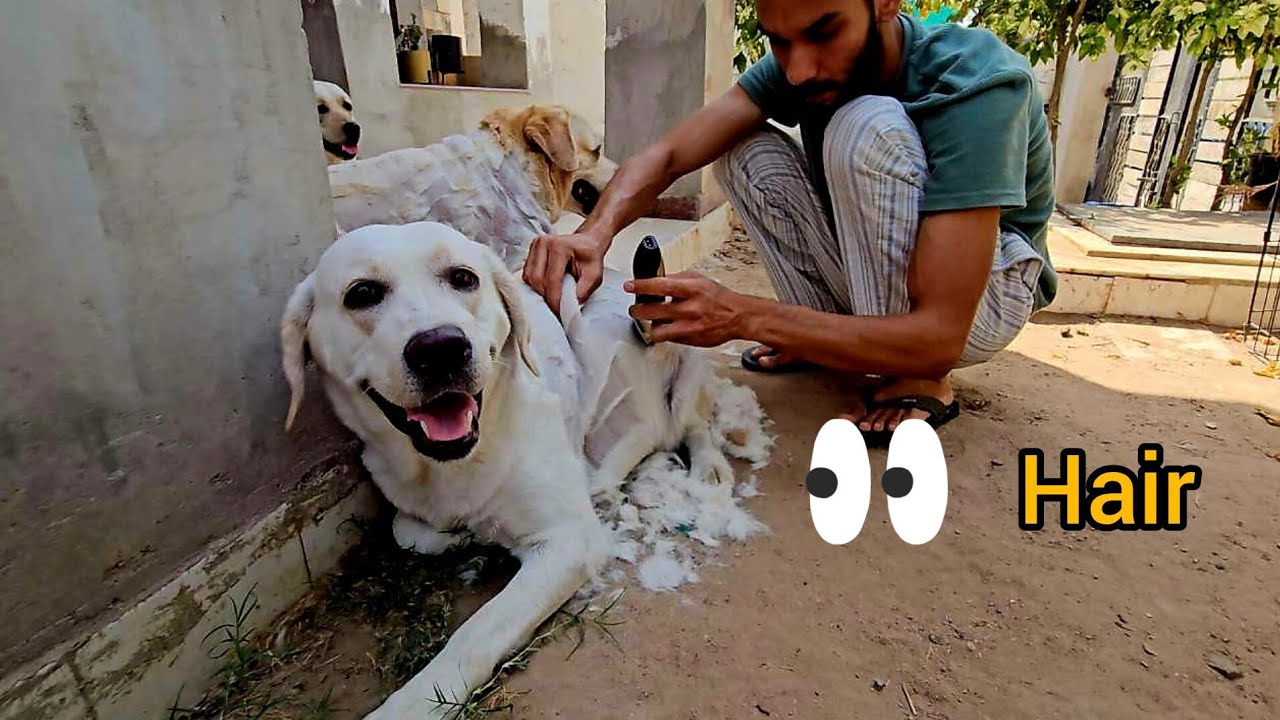 Katta eshaklar qattiq porno Anal jinsiy aloqada bolgan balerinalarning fotosuratlari