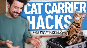 3 HACKS to Get Any Cat Into a Carrier that PROS Use