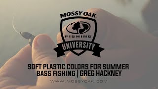 Best Soft Plastic Colors for Summer Bass Fishing - Greg Hackney