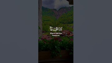 وما تدري نفس ماذا تكسب غدا [لقمان: ٣٤] القارئ #اسلام_صبحي